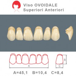Denti Resina Anteriori Superiori - viso Ovoidale 37
