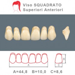 Denti Resina Anteriori Superiori - viso Squadrato 25