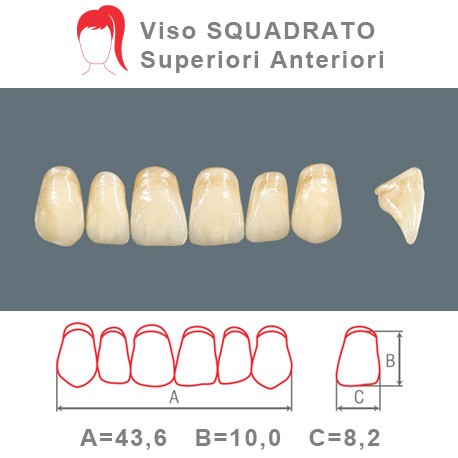 Denti Resina Anteriori Superiori - viso Squadrato 34