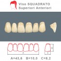 Denti Resina Anteriori Superiori - viso Squadrato 34