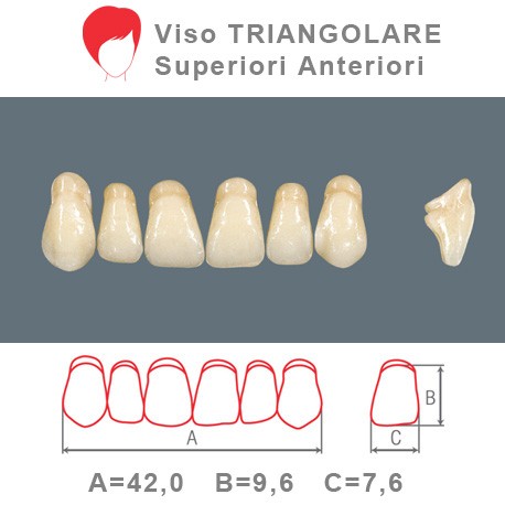Denti Resina Anteriori Superiori - viso Triangolare 13