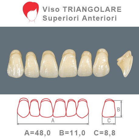 Denti Resina Anteriori Superiori - viso Triangolare 40