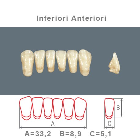 Denti Resina Anteriori Inferiori - 05