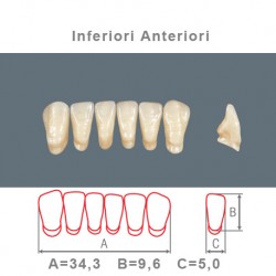 Denti Resina Anteriori Inferiori - 06