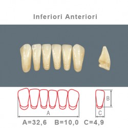 Denti Resina Anteriori Inferiori - 09
