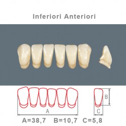 Denti Resina Anteriori Inferiori - 011