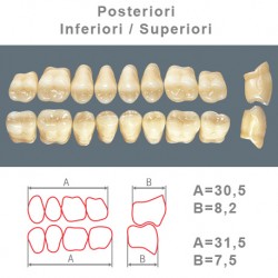 Denti Resina Posteriori Superiori-Inferiori - 77