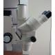 Stereomicroscopio NIKON SMZ-T2