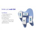 SMILE LULU wall-DM