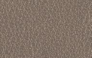 L026 Tortora