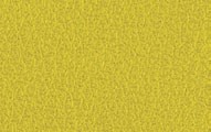 L029 Giallo verde