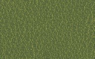 L018 Verde prato